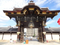 {莛P