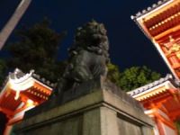 京都１１
