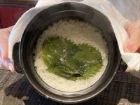 䇓PP