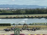 京都競馬場１２