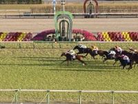 京都競馬場１５