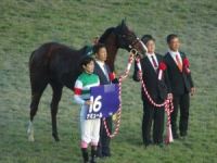 京都競馬場１６